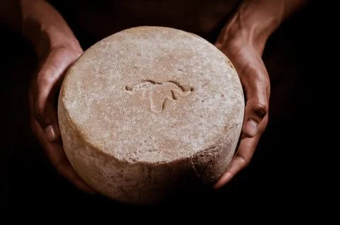 Handsome cheesemaker is checking cheeses in his workshop storage. Foto stock