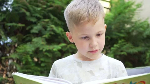 Handsome Child Boy Learning to Read Outdoors in Park. Beautiful Focused Kid Read Stock Footage 133769800