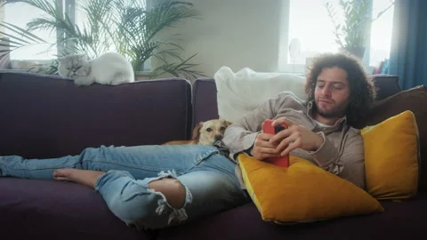 A handsome curly-haired man on a couch surrounded by pets uses a smartphone to Stock Footage 193978950