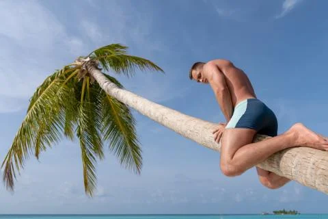 A handsome guy erotically sitting on a big palm. Stock Photos