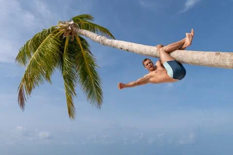 A handsome guy is hanging on a palm tree, caught in the legs. Stock Photos