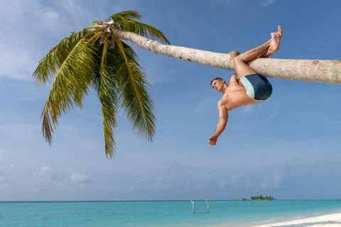 A handsome guy is hanging on a palm tree, caught in the legs. Stock Photos