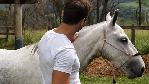 Handsome with horse Stock Footage 92895986