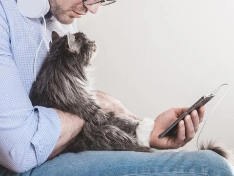 Handsome man and cute kitten Stock Photos
