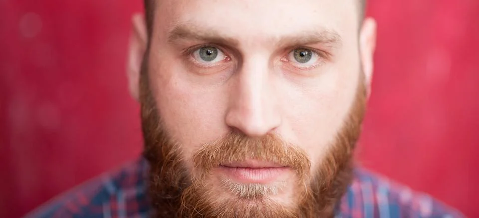 Handsome man with beard looking at camera Foto stock
