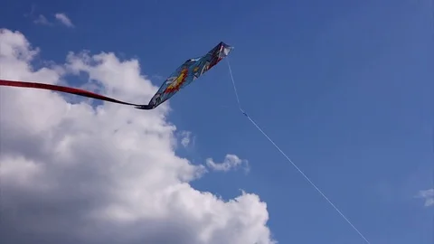 Handsome man flying a kite in the park Stock Footage 77797602