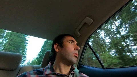 Handsome Man Inside Driving Vehicle, Slow Motion Transportation Forest Outdoors Stock Footage 107415218