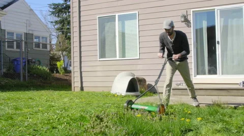 Handsome Man mows backyard lawn Stock Footage 62864606