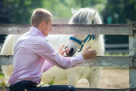 Handsome man Stock Photos