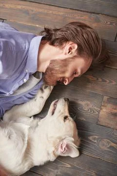 Handsome man is playing with their Golden Retriever puppy on the floor. Studi Stock Photos