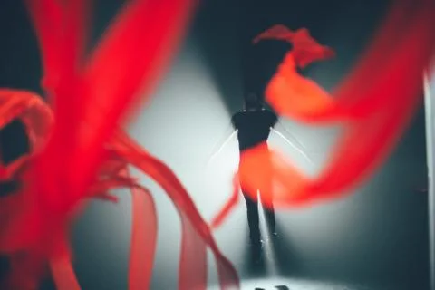 Handsome man posing in studio in backlight. Stock Photos