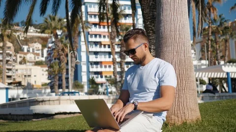 Handsome man sitting on the grass in the city with a laptop and talking on the Stock Footage 100554190