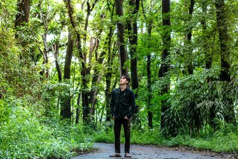 Handsome man standing alone while looking around. Beautiful dramatic deep f.. Stock Photos