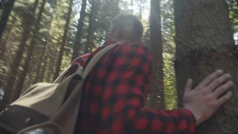 Handsome man walking in the forest. Stock Footage 81635186