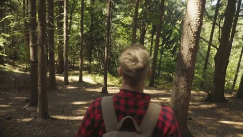 Handsome man walking in the forest. Stock Footage 81635402