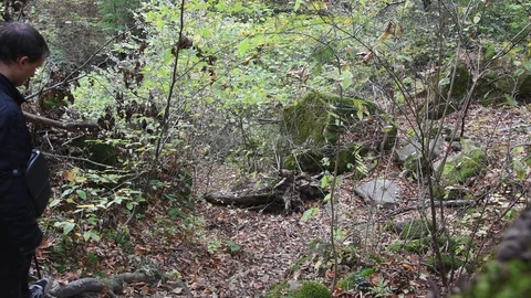 A handsome man walks through the woods in spring, autumn. Stock Footage 128524670