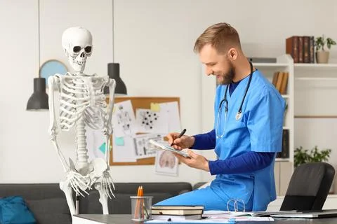 Handsome medical intern studying with human skeleton model in clinic Stock Photos
