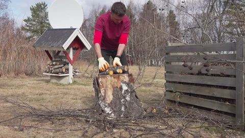 Handsome middle aged Caucasian man picking up fresh cut tree branches, pieces Stock Footage 140760797