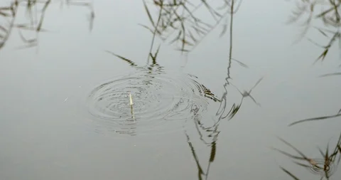 Handsome plus size young man in yellow fisherman coat jacket with fishing rod Stock Footage 103348348