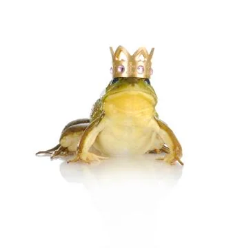 Handsome prince Stock Photos