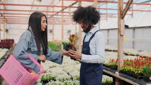 Handsome Sales Assistant Helping Young Female Customer with Plants and Flowers Stock Footage 148677100