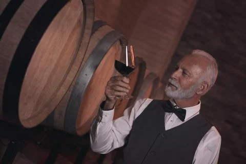 Handsome senior winemaker Stock Photos
