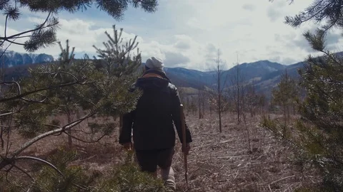 Handsome strong lumberjack holding axe in forest and enjoying with his dog Stock Footage 87565845