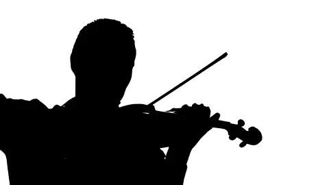 Handsome violinist playing on a classical violin. Silhouette Stock Footage 134522580