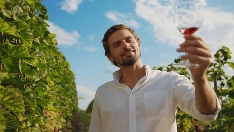 Handsome winemaker enjoying drinking red or rose wine tasting at private Stock Footage 116989317