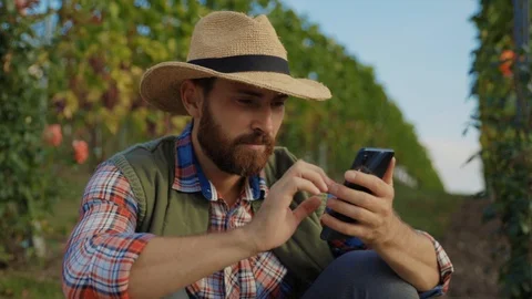 Handsome winemaker in straw hat staying in grape vines having rest browsing Stock Footage 116990141