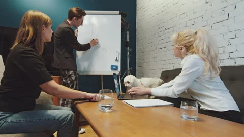 Handsome Young Caucasian Man Explaining Business Strategy Stock Footage 165006321