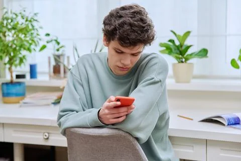 Handsome young guy using smartphone sitting on chair in home Stock Photos