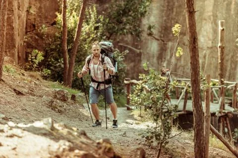 Handsome young man using trail trekking poles 스톡 사진