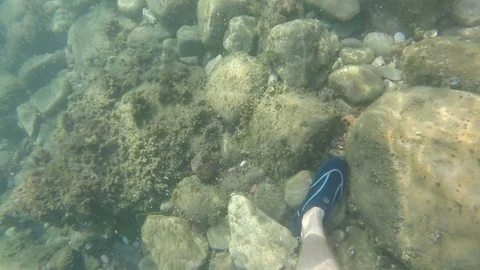 Handsome Young Swimmer Diving Underwater Diver Sun Rays Water Tropical Location Stock Footage 80256089
