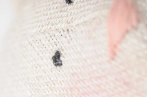 Handwork sewing in macro shot Stock Photos
