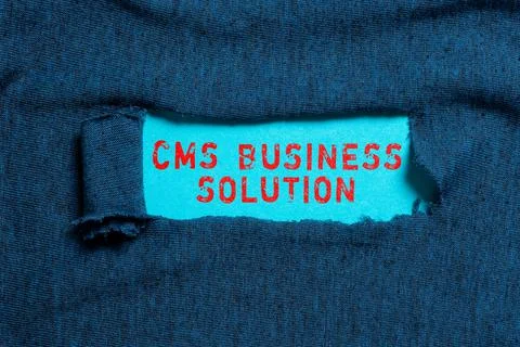 Handwriting text Cms Business Solution. Business showcase software application 스톡 사진