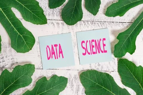 Handwriting text Data Science. Concept meaning multidisciplinary field that uses Stock Photos