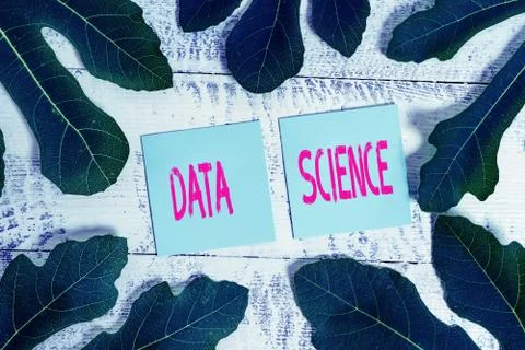 Handwriting text Data Science. Concept meaning multidisciplinary field that uses Stock Photos