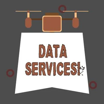 Handwriting text Data Services. Concept meaning thirdparty services that help to Illustrazione stock