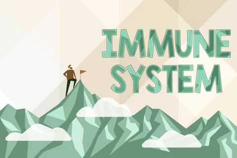 Handwriting text Immune System. Conceptual photo Complex network work together Stock Illustration