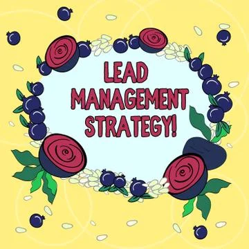 Handwriting text Lead Management Strategy. Concept meaning System in making new Stock Illustration