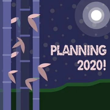 Handwriting text Planning 2020. Concept meaning process of making plans for Illustrazione stock