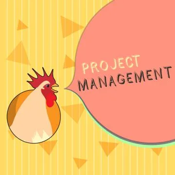 Handwriting text Project Management. Concept meaning Application Process Skills Stock Illustration