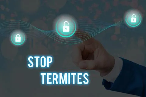 Handwriting text Stop Termites. Concept meaning prevent a small tropical insect Foto stock