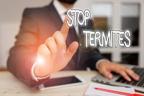 Handwriting text Stop Termites. Concept meaning prevent a small tropical insect 스톡 사진