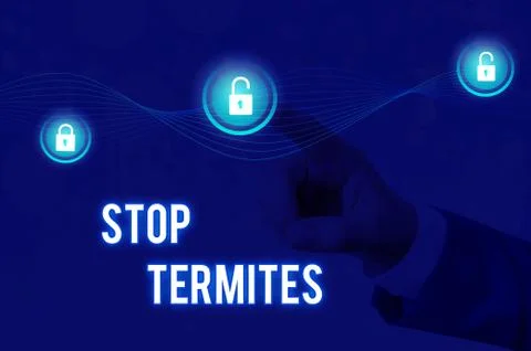 Handwriting text Stop Termites. Concept meaning prevent a small tropical insect Foto stock