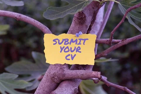 Handwriting text Submit Your Cv. Business concept Looking for a job Recruitment Stock Photos