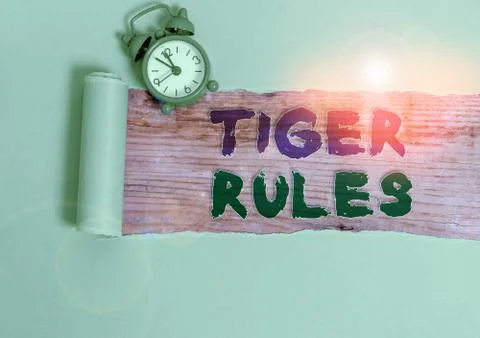 Handwriting text Tiger Rules. Concept meaning Willpower and demonstratingal Stock Photos