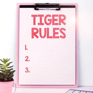 Handwriting text Tiger Rules. Internet Concept Willpower and personal strength Stock Photos