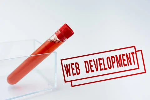 Handwriting text Web Development. Business approach work involved in developing Stock Photos